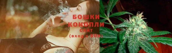кокс Бородино