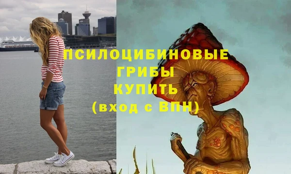 кокс Бородино
