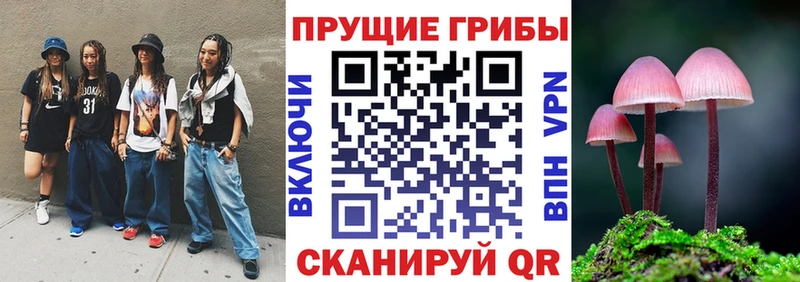 Купить  Чадан  Псилоцибиновые грибы MAGIC MUSHROOMS 